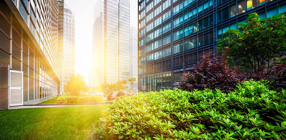 Office Building with Trees