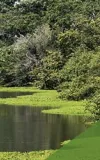 SCS Standards Releases Water Stewardship and Resiliency Certification Standard for Public Review and Comment