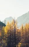 Architecture of a Sustainability Standard