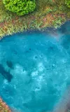 Benchmarking Water Stewardship in a Shifting Global Regulatory Landscape