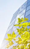 SCS Standards Releases Revised SCS-108 Carbon Neutral Standard for Public Review 
