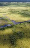 Understanding the Veriflora® Responsibly Managed Peatlands Standard V2.0: Key Updates and Implementation