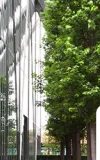 SCS Standards and Assurance Systems Releases V2.0 of SCS-108 Certification Standard for Carbon Neutral Entities, Buildings, Products, and Services  
