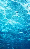 Water Scopes