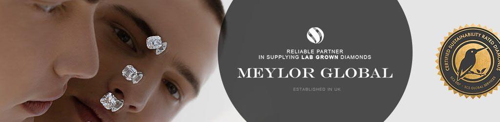 Meylor PR Banner
