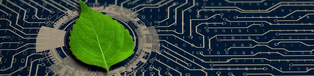 banner of leaf on computer curcuit