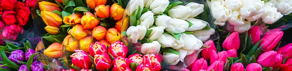SCS Standards is pleased to announce that a version 4.0 of the SCS-001-2 Certification Standard for Veriflora® Sustainably Grown Cut Flowers and Potted Plants is now available for public review.  
