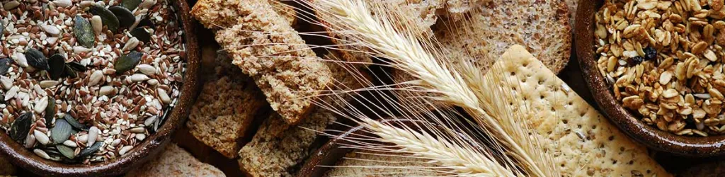 Overhead shot of various types of grain and bread