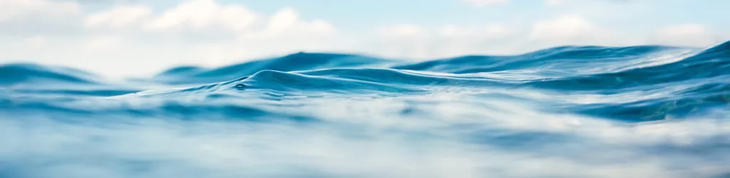 SCS Standards, an ANSI-accredited standard development organization, is pleased to announce the publication of SCS-116, the Certification Standard for Water Stewardship and Resiliency.