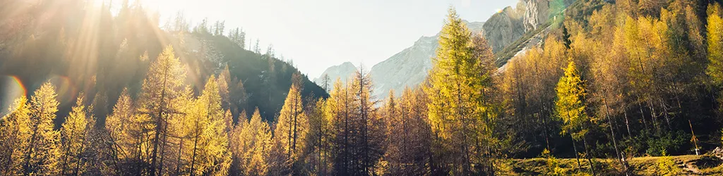 Architecture of a Sustainability Standard
