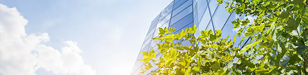SCS Standards Releases Revised SCS-108 Carbon Neutral Standard for Public Review 