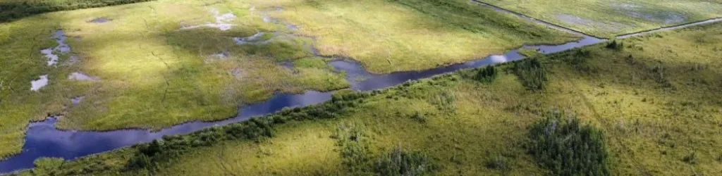 Understanding the Veriflora® Responsibly Managed Peatlands Standard V2.0: Key Updates and Implementation