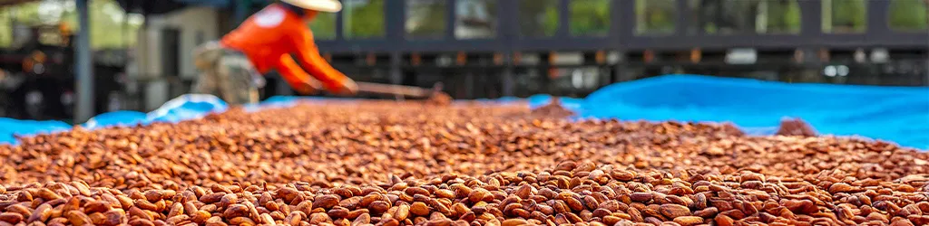 ISO 22095‑2: What This New Mass Balance Standard Actually Means — and Why It Matters